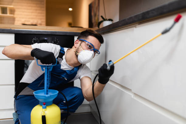 Best Local Pest Control Services  in Ahwahnee, CA
