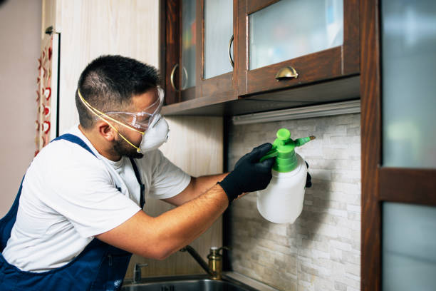 Best Flea Control Services  in Ahwahnee, CA