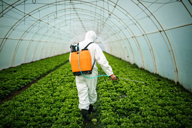 Best Pest Inspection Near Me  in Ahwahnee, CA