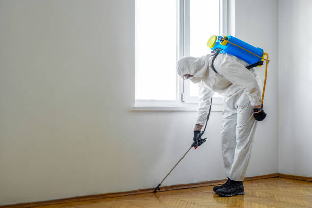 Best Ant Control Services  in Ahwahnee, CA