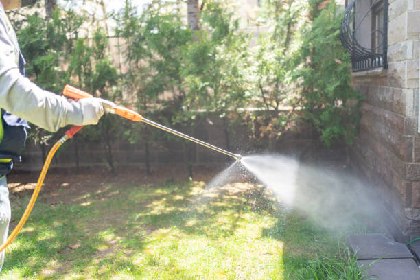 Best Pest Prevention Services  in Ahwahnee, CA