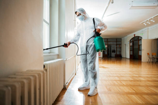 Best Affordable Pest Control Services  in Ahwahnee, CA