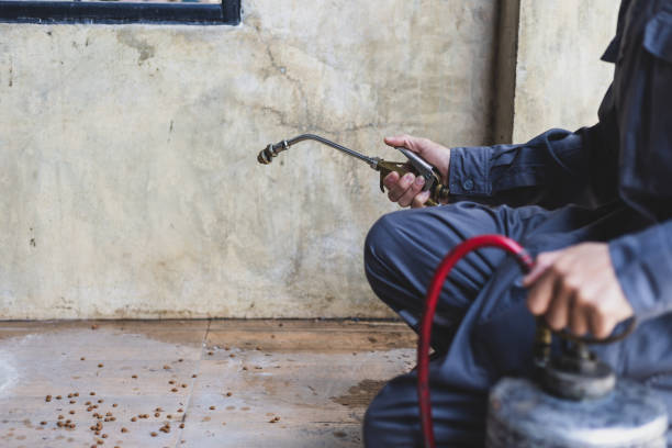 Best Residential Pest Control  in Ahwahnee, CA